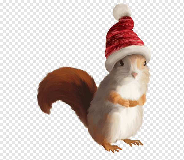 Белка в новогодней шапке