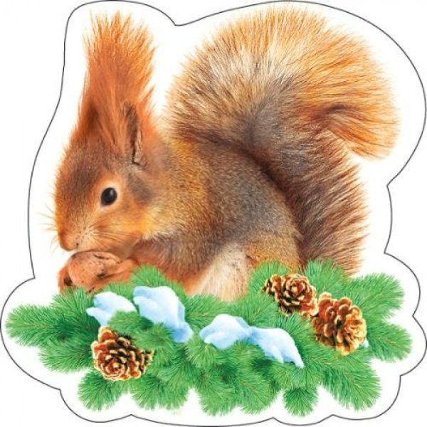 Детский сад Белочка