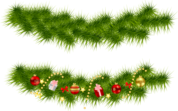 Ветка Еловая