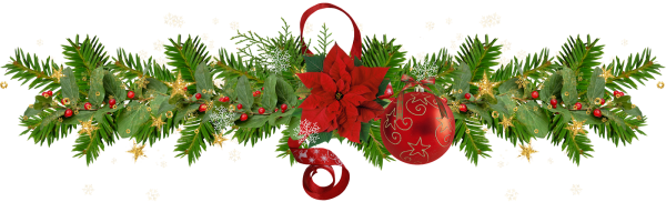 Новогодняя ветка на белом фоне