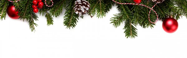 Елочная ветка