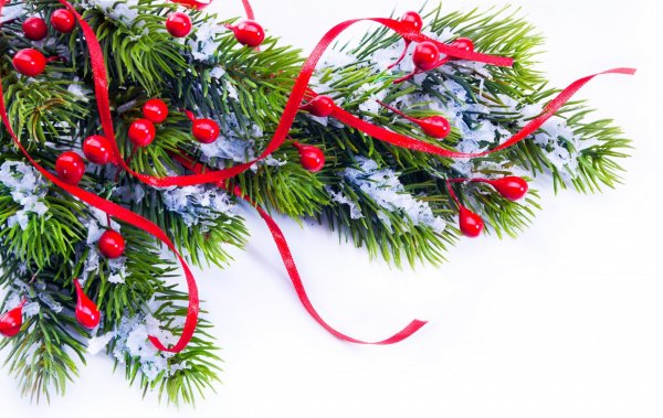 Новогодняя ветка