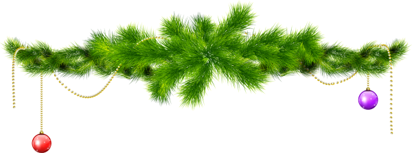 Новогодняя Еловая ветка на прозрачном фоне