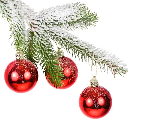 Новогодняя ветка