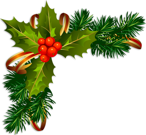 Ветка елки сбоку