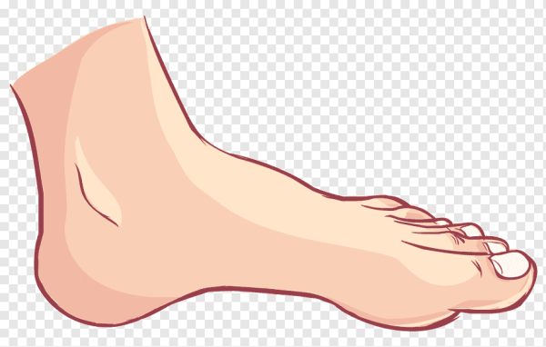 Стопа мультяшная