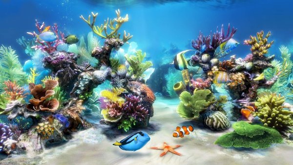 Обои аквариум