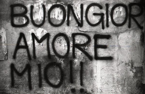 Amor надпись картина