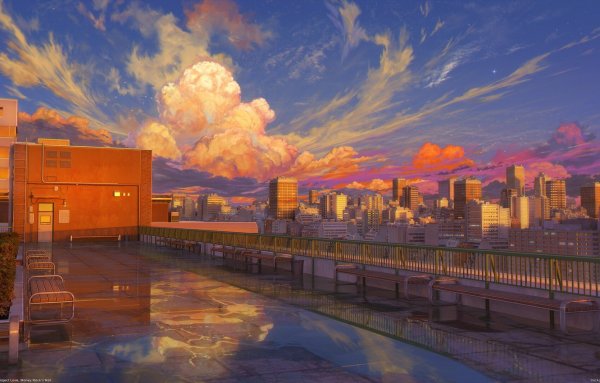 Арсений Чебынкин (arsenixc)