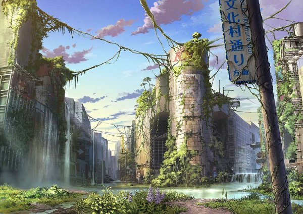 Руины дорёдо, Токио