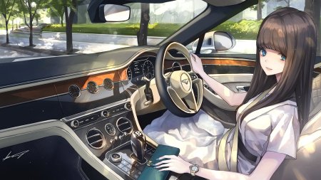 Аниме машины