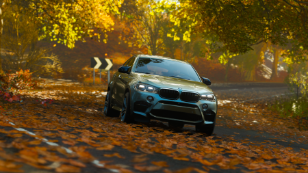 BMW x6 Forza Horizon 4