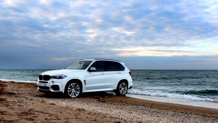 BMW x3 и BMW x5 BMW x5