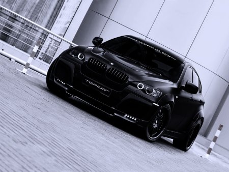 BMW TOPCAR