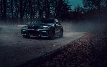 БМВ f90 в лесу