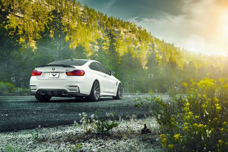 BMW m4 белая сзади