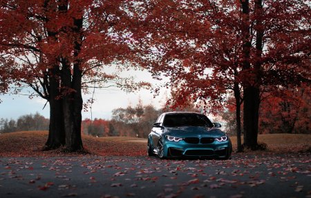 BMW осень