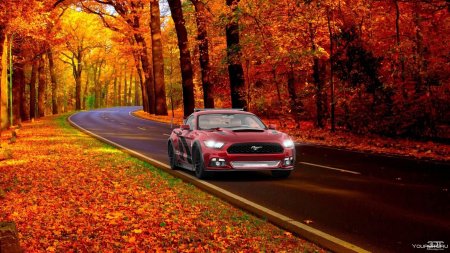 Машина осень