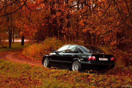 БМВ е46 осень