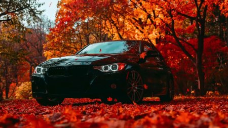 Осенний пейзаж с машиной