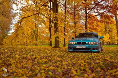 BMW e39 осенью