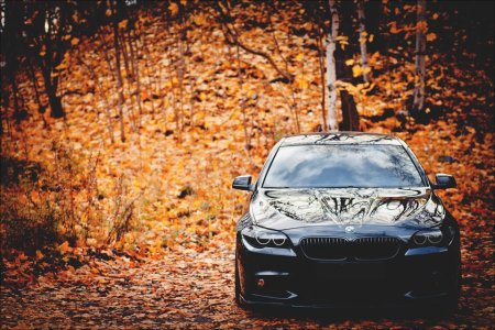 BMW f10 черный осень