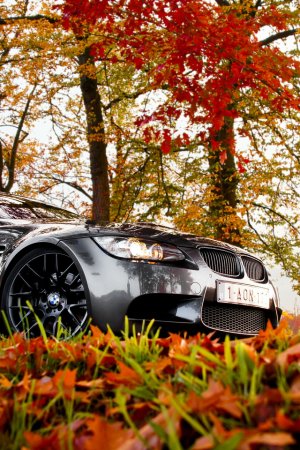 БМВ осень