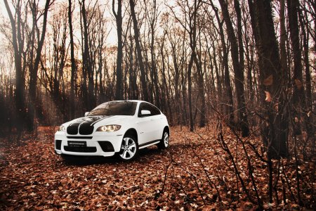 BMW x6m осень