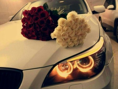 Цветы на капоте машины