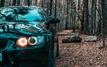 BMW черная
