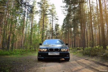BMW x6 в лесу