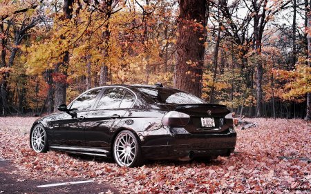 BMW e39 осень
