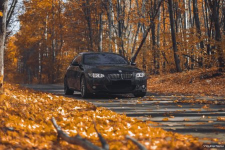 БМВ е60 осенью