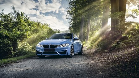 BMW m5 в лесу