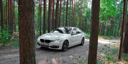 BMW f82 машина в лесу