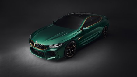 BMW m8 Литвина