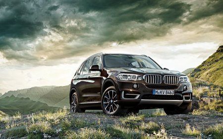 BMW x5 f15 Pure experience