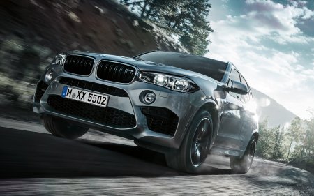 BMW x5m арт