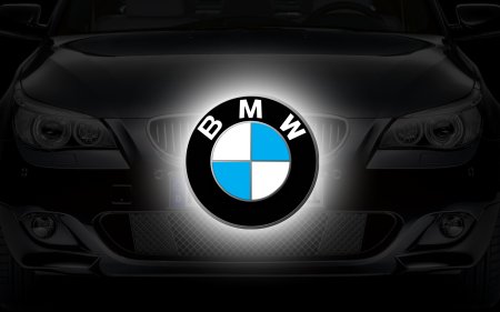 BMW logo 2000