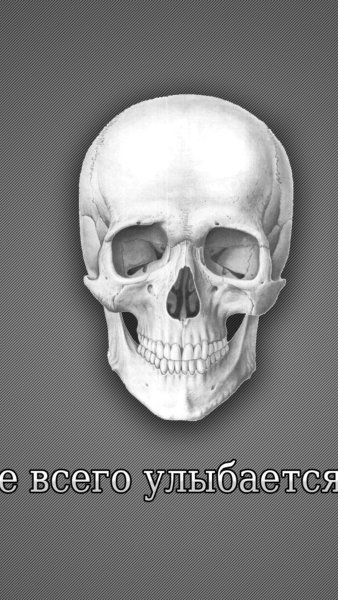 Череп с надписью