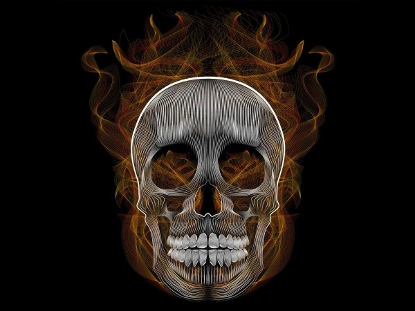 Картинки на рабочий стол черепа