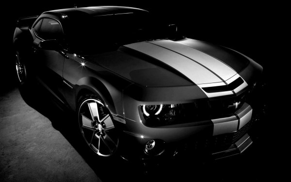 Шевроле Камаро бело черная