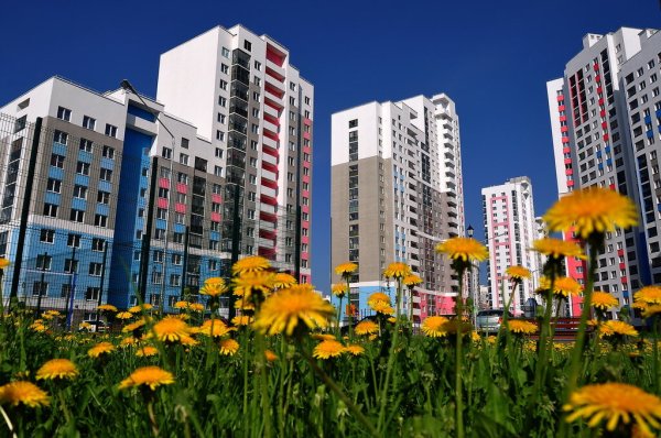 Экологически чистый район