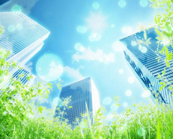 Чистый воздух в городе