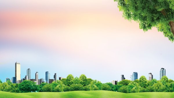 Экология фон