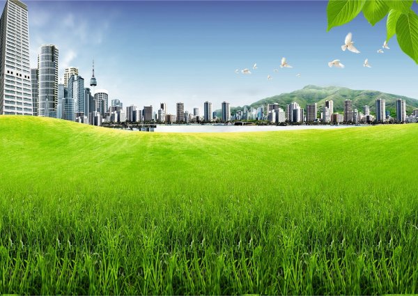 Экология панорама