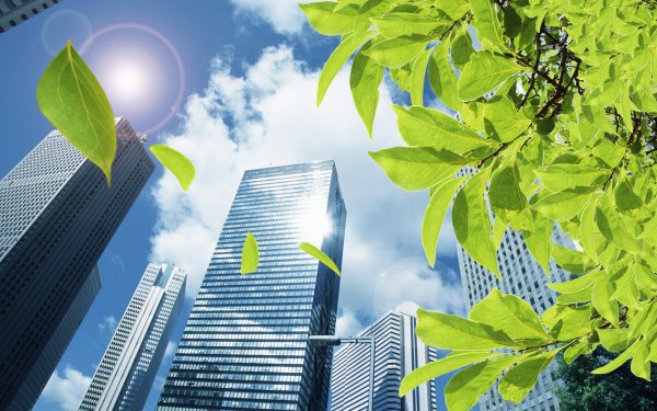 Городская экология