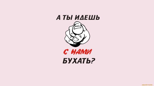 Смешные обои с надписями