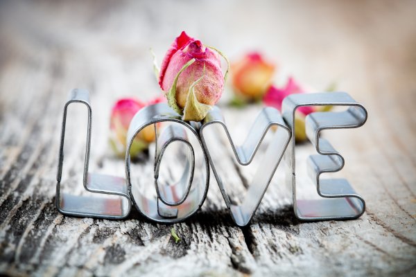 Обои любовь