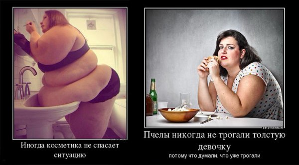 Прикольные мотиваторы для похудения